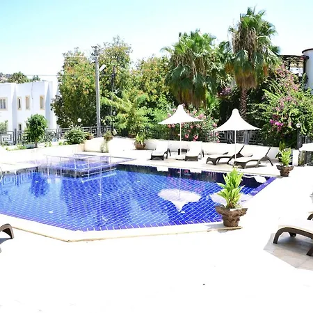 Bed and Breakfast Le Chance &